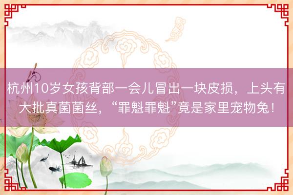 杭州10岁女孩背部一会儿冒出一块皮损，上头有大批真菌菌丝，“罪魁罪魁”竟是家里宠物兔！
