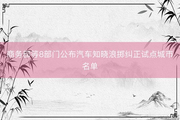 商务部等8部门公布汽车知晓浪掷纠正试点城市名单